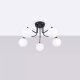 Lampa wisząca Astro Lighting Żyrandol ASTRAL 5 czarny SOLLUX  LIGHTING 1