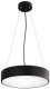 Lampa wisząca TEAM Wisząca lampa z czujnikiem ruchowo-zmierzchowym Cleo 137623600257 czarny 3