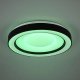 Lampa sufitowa RL Light Plafon z funkcją RGB Arco R65091032 RL Light LED 22W 2700-6000K czarny 8