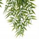 Atmosphera Bambus wiszący w doniczce LIORA, 67 cm 5