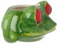 IMPACTO GIFTS Ceramiczny Kubek 500 ml - Duża Żaba 2
