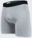 NORMANN Bokserki Stance Standard 6in Brief Grey 1