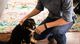 Smartband Fitbit Opaska fitness monitor aktywności Charge Fitbit Black roz. XL 7