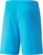 Puma Spodenki męskie Puma teamLIGA błękitne 704924 40 M 2