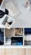Ikea IKEA SKUBB pudełka pojemniki do komody x6 białe 2