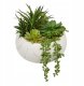 Atmosphera Sztuczne sukulenty w ceramicznej doniczce z marmurowym wzorem, wys. 18 cm 2