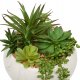 Atmosphera Sztuczne sukulenty w ceramicznej doniczce z marmurowym wzorem, wys. 18 cm 3