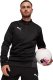 Puma Bluza męska Puma TeamGoal Training 1/4 Zip Top czarna 658629 03 L 1