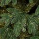 Springos Choinka sztuczna 210 cm sosna zielona PE Royal Trees premium drzewko świąteczne jak żywe UNIWERSALNY 11