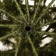 Springos Choinka sztuczna 210 cm sosna zielona PE Royal Trees premium drzewko świąteczne jak żywe UNIWERSALNY 9