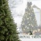 Springos Choinka sztuczna 180 cm sosna zielona PE Royal Trees premium drzewko świąteczne jak żywe Uniwersalny 21