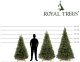 Springos Choinka sztuczna 180 cm sosna zielona PE Royal Trees premium drzewko świąteczne jak żywe Uniwersalny 30