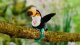 Anek TOY INTERACTIVE BIRD YAPPERS TOUCAN 9591 3