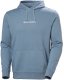 Helly Hansen męska bluza z kapturem CORE Hoodie 54525 601 XL 1