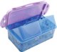 Frozen Lunch box w/removable compartments 21x13cm 2