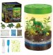 Grafix Dinozaury Terrarium Ogród W Słoiku Lampka Nocna Zestaw Edukacyjny Nasiona 1