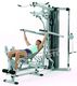 York Fitness Atlas G570 York Fitness 5643 uniw - 2000361000017 2