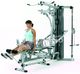 York Fitness Atlas G570 York Fitness 5643 uniw - 2000361000017 5