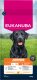 Eukanuba EUKANUBA Junior Large 15kg 1