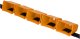 Avenli AQUA-SPORT PAS OPOROWY Z KUBECZKAMI BREAK BELT GOLD AS193266 2