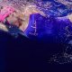 Funkita FUNKITA OKULARY FUNKY BLADE SWIMMER GOGGLE PINK POWER FYA200N0212000 2