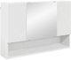 vidaXL Szafka z lustrem Biały 80 x 17 x 55 cm 2