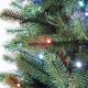 Twinkly Pre-lit Tree -1.80m Regal Tree, 435 RGB LED, Green wire, Plug Type C 2