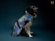 Amiplay JACKET FOR DOGS PETROL GREY 45 2