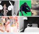 Zestaw studyjny Neewer NEEWER NK100 Zestaw oświetlenia ciągłego z tłem 5700K 800W softbox ścierka 6