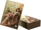 Gamegenic Gamegenic: Magic the Gathering - Lorwyn Eclipsed - Premium Art Sleeves - High Perfect Morcant 1