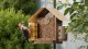 Skrzynkazdrewna Birdfy Feeder Metal V - karmnik dla ptaków z kamerą 4