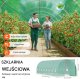 Freund Victoria Tunel foliowy 8,3x2,9x2,3 m stal PE szklarnia z drzwiami i oknami 7
