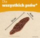 Pedigree PEDIGREE Ranchos Originals 180g - przysmak dla psów z wołowiną 4