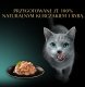 Sheba SHEBA Filety z kurczakiem, rybami oceanicznymi i krewetkami w sosie tacka 60g 4