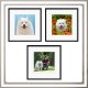 Ramka Lumarko 30x30 cm na zdjęcia plakaty puzzle kwadratowa z passe partout plexsi 9