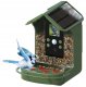 Kamera DzikaKnieja Fotopułapka Braun Bird Cam 130 Solar 4