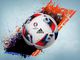 Adidas Piłka nożna EURO 2016 Official Match Ball Fracas 5 AO4851 Adidas uniw - 4057282938336 2