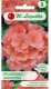 Legutko Pelargonia Gama F1 - łososiowa 1