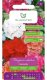 Legutko Pelargonia F2 mieszanka 1