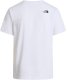 The North Face Koszulka M Evolution Half Dome Tee męska : Kolor - Biały, Rozmiar - XS 2