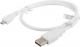 Kabel USB Lanberg USB-A - 0.5 m Biały (CA-USBM-10CC-0005-W) 1