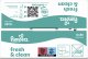 Pampers Chusteczki nawilżane FreshClean 12x80szt. 5