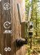 Kamera cyfrowa Genway FOTOPUŁAPKA z panelem solarnym Kamera leśna Zintronic GSM 4G LTE 3MPx 3