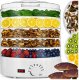 Suszarka ExtraLink Extralink Home | Suszarka do grzybów owoców warzyw ziół | 500W + 5 sit 27cm, biała 5
