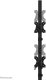 Neomounts Uchwyt biurkowy na 2 monitory 10" - 32" (DS45-600BL2V) 5