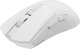 Mysz GENESIS Zircon 880  (NMG-2380) 12