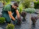 PrimeGarden Gruba agrowłóknina agrotkanina 70g 1x50m antchwastowa agrotkanina czarna 7