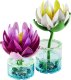 LEGO Botanicals Lilie wodne (11511) 2