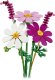 LEGO Botanicals Kosmosy (11514) 2
