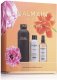 Balmain Set Professionnel Muza Wiosny Steel Water Bottle Black Professionnel Argan Oil Hair Leave-In Conditioner For Hydrate/Detangle & Shine 50 ml Professionnel Butane Hair Spray For Volume Light Hold 200 ml 2